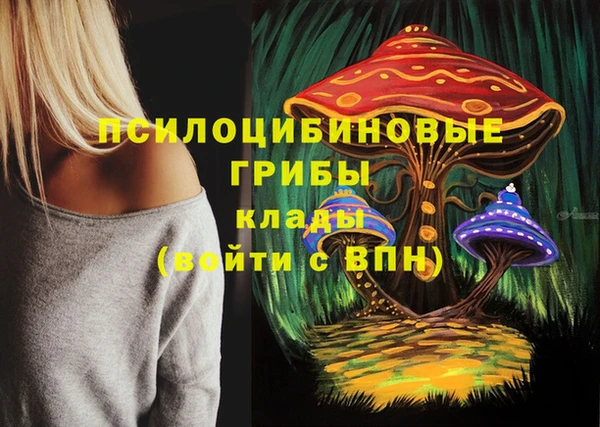 2c-b Армянск