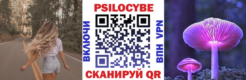 Галлюциногенные грибы Cubensis  Спас-Деменск 